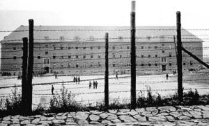 Памяти 69 воинов-топчихинцев замученных фашистами в лагерях военнопленных
